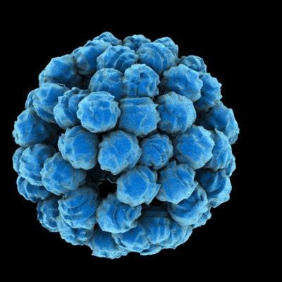 Mold residential home testing in Missoula, Bitterroot Valley and Western Montana.